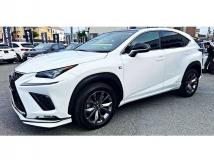 2018 Lexus NX