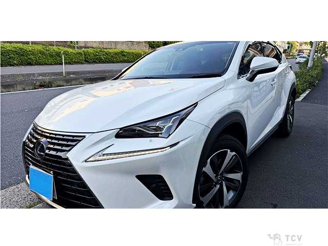 2018 Lexus NX