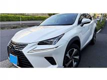 2018 Lexus NX