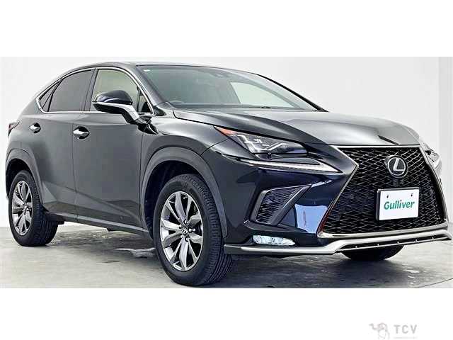 2018 Lexus NX