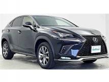 2018 Lexus NX
