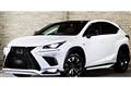 2018 Lexus NX
