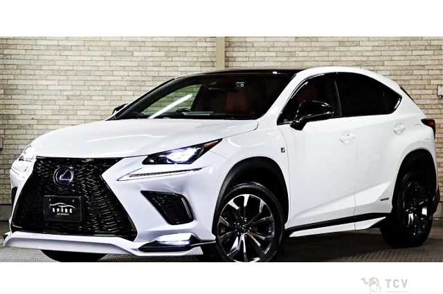 2018 Lexus NX