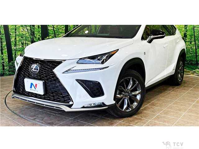 2018 Lexus NX
