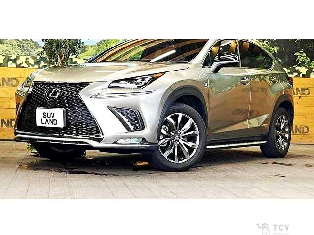 2018 Lexus NX