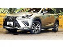 2018 Lexus NX
