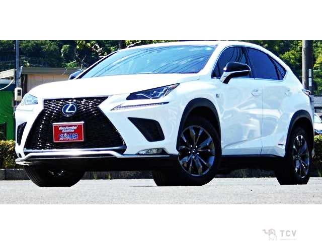 2018 Lexus NX