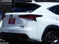 2018 Lexus NX