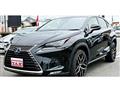 2019 Lexus NX