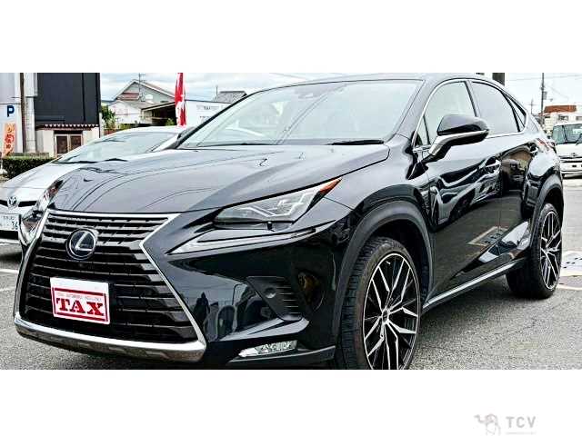 2019 Lexus NX