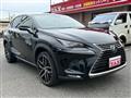 2019 Lexus NX