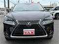 2019 Lexus NX