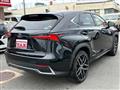 2019 Lexus NX