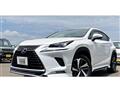 2019 Lexus NX