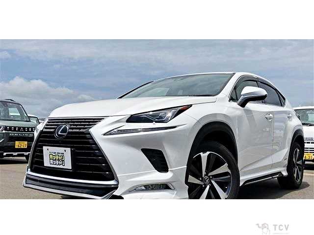 2019 Lexus NX