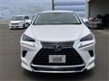 2019 Lexus NX