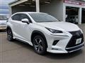 2019 Lexus NX