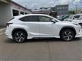 2019 Lexus NX