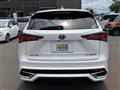 2019 Lexus NX