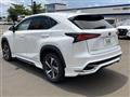 2019 Lexus NX