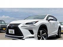 2019 Lexus NX