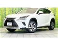 2019 Lexus NX