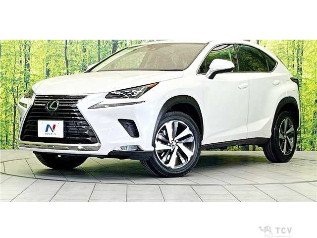 2019 Lexus NX