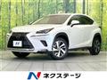 2019 Lexus NX