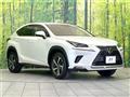 2019 Lexus NX