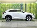 2019 Lexus NX