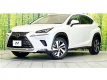 2019 Lexus NX
