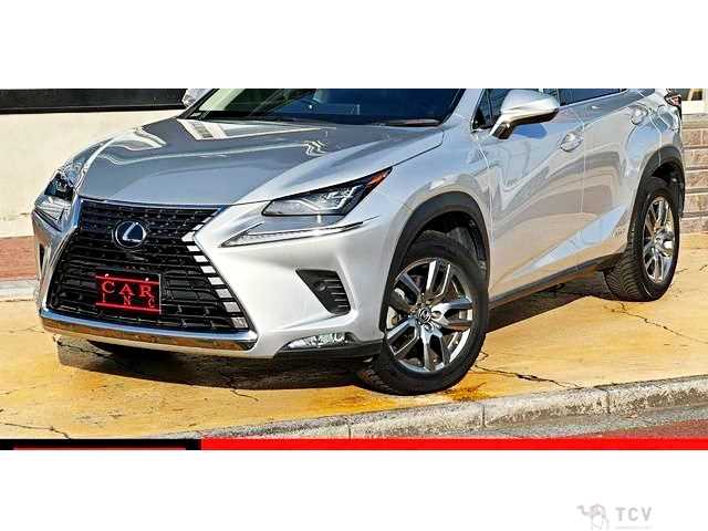 2019 Lexus NX