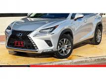 2019 Lexus NX