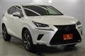 2019 Lexus NX