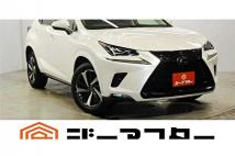 2019 Lexus NX