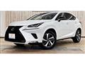 2019 Lexus NX