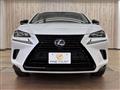2019 Lexus NX