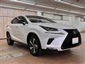 2019 Lexus NX