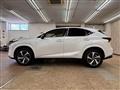 2019 Lexus NX