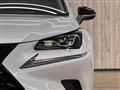 2019 Lexus NX