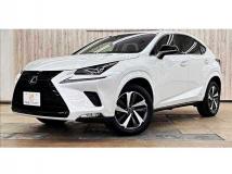 2019 Lexus NX