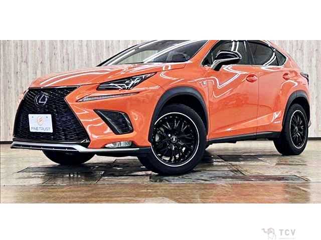 2019 Lexus NX
