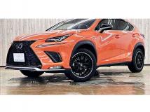2019 Lexus NX