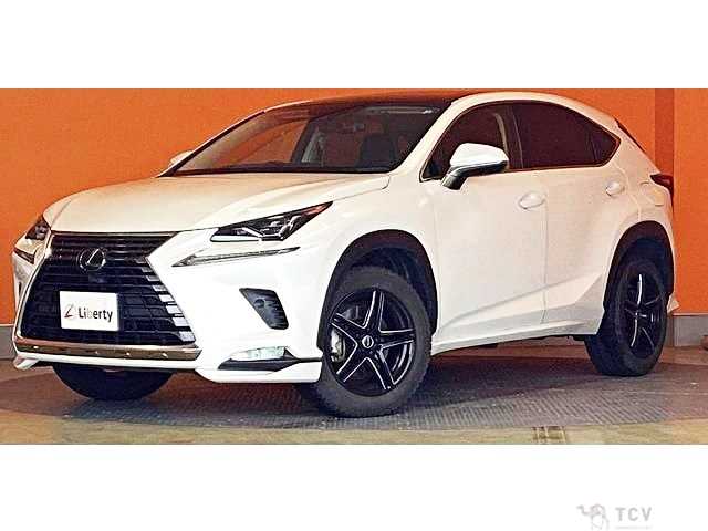 2019 Lexus NX