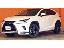 2019 Lexus NX