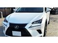 2019 Lexus NX
