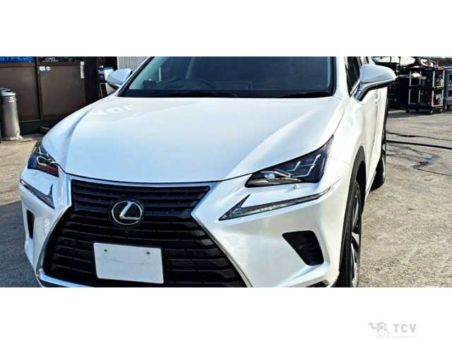 2019 Lexus NX