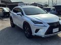 2019 Lexus NX