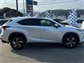 2019 Lexus NX