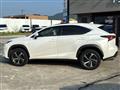 2019 Lexus NX